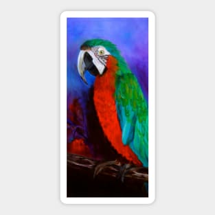 Macaw Sticker